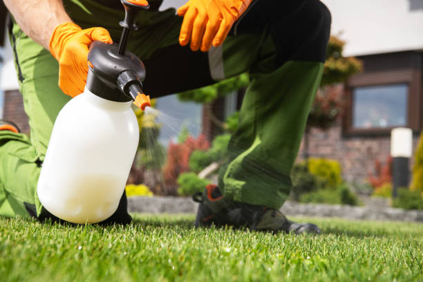 Best Residential Pest Control  in Belen, NM