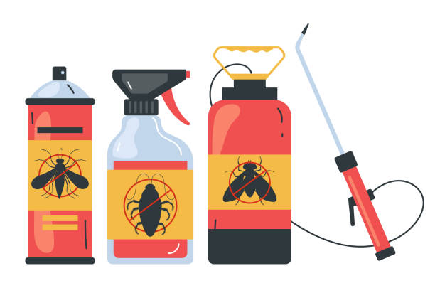 Best Pest Inspection Near Me  in Belen, NM